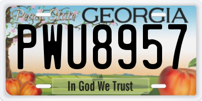 GA license plate PWU8957