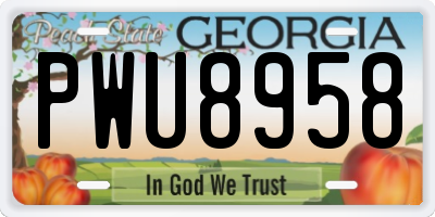 GA license plate PWU8958