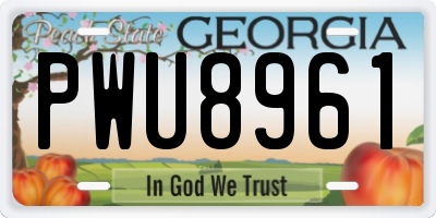 GA license plate PWU8961