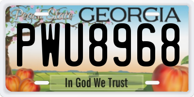 GA license plate PWU8968