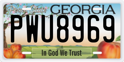 GA license plate PWU8969