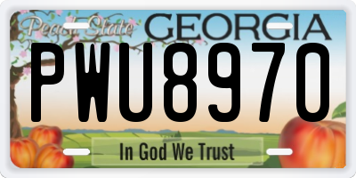 GA license plate PWU8970
