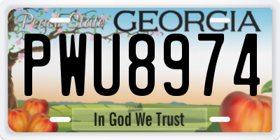 GA license plate PWU8974