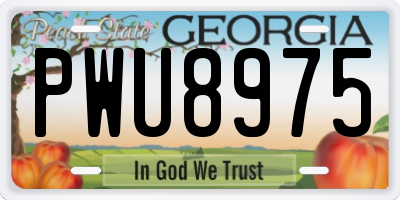 GA license plate PWU8975