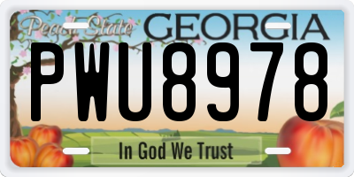 GA license plate PWU8978
