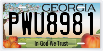GA license plate PWU8981