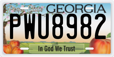 GA license plate PWU8982