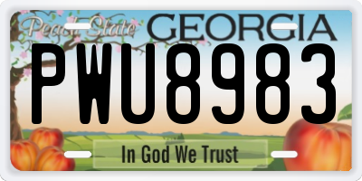 GA license plate PWU8983