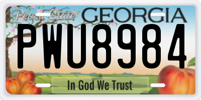 GA license plate PWU8984
