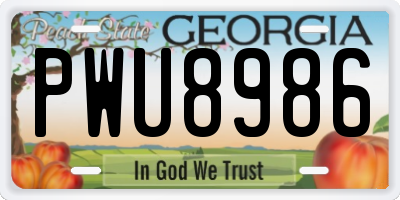 GA license plate PWU8986