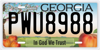 GA license plate PWU8988