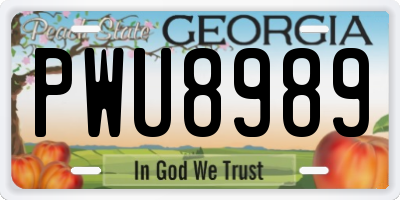 GA license plate PWU8989
