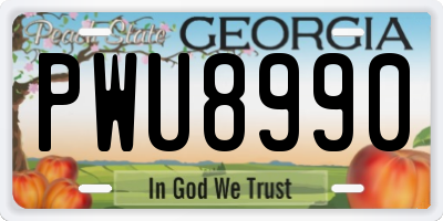 GA license plate PWU8990