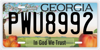 GA license plate PWU8992