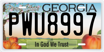 GA license plate PWU8997