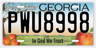 GA license plate PWU8998