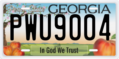 GA license plate PWU9004