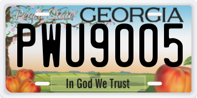 GA license plate PWU9005
