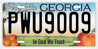 GA license plate PWU9009