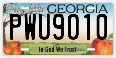 GA license plate PWU9010