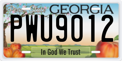 GA license plate PWU9012