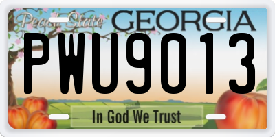 GA license plate PWU9013
