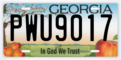 GA license plate PWU9017