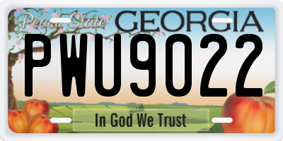 GA license plate PWU9022