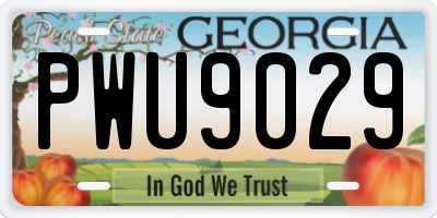 GA license plate PWU9029