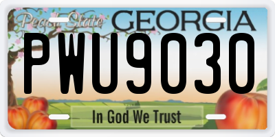 GA license plate PWU9030
