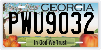 GA license plate PWU9032