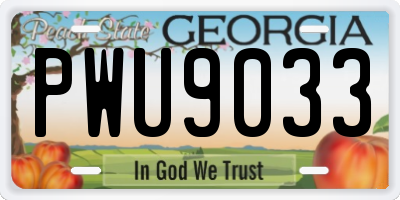 GA license plate PWU9033