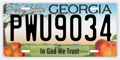 GA license plate PWU9034