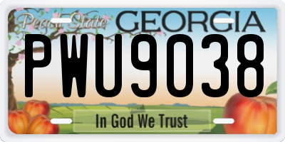 GA license plate PWU9038