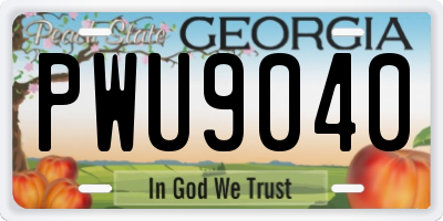 GA license plate PWU9040