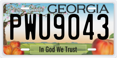 GA license plate PWU9043