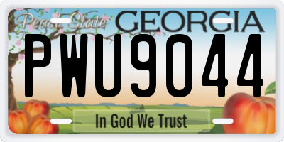 GA license plate PWU9044