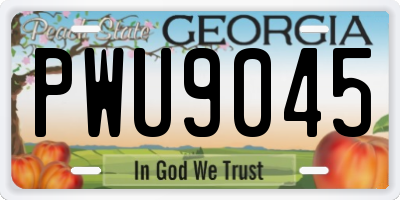 GA license plate PWU9045