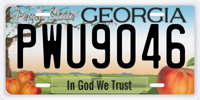 GA license plate PWU9046