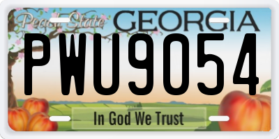 GA license plate PWU9054