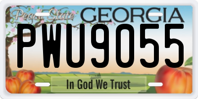 GA license plate PWU9055