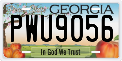 GA license plate PWU9056