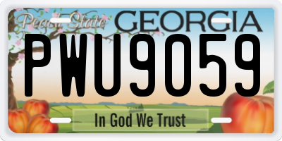 GA license plate PWU9059