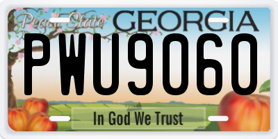 GA license plate PWU9060