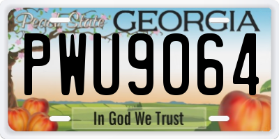 GA license plate PWU9064