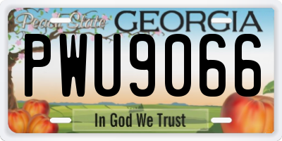 GA license plate PWU9066