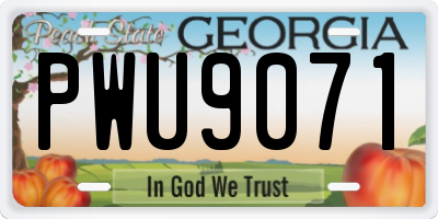 GA license plate PWU9071