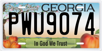 GA license plate PWU9074