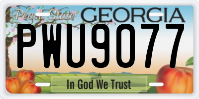 GA license plate PWU9077