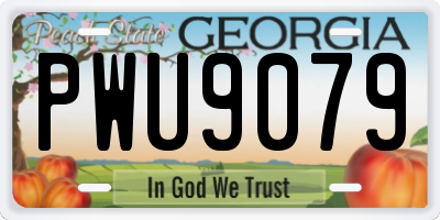 GA license plate PWU9079